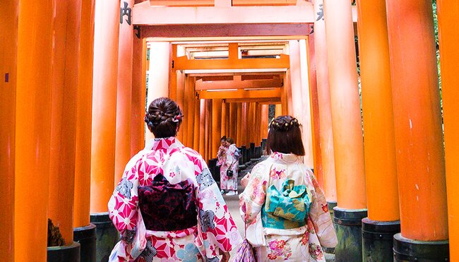 See the highlights of Japan with Intrepid