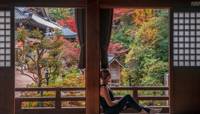 Japan: Land of the Rising Sun - 1