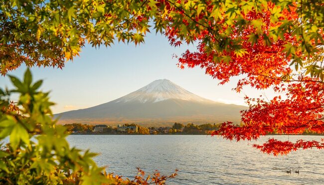 Mt Fuji seen from across a lake with edge of photo bordered by red autumn maple leaves