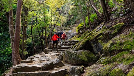 Hiking the pilgrimage track at Kumano Kodo