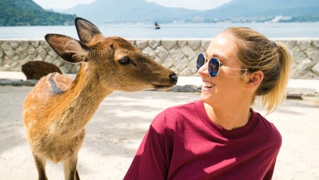 GCJO_japan_hiroshima_miyajima-island_deer_traveller