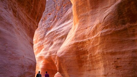 Petra uncovered with Intrepid Travel