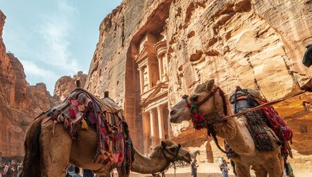 Camels bridled and parked outside the huge stone carved facade of the Treasury at Petra in an orange stone canyon