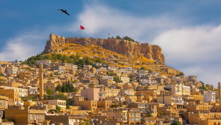 City of Mardin with ancient minarets and buildings climbs a hill to towering stone top with hawk flying in Turkey
