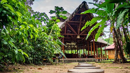 Nape Lodge in the Amazon Jungle