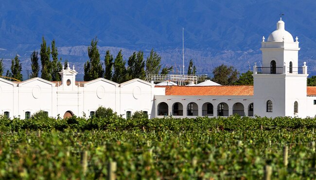 GGPC - View of Mendoza vineyard and winery in Argentina