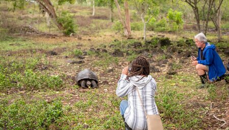 Travellers encounter a tortoise on Santa Cruz
