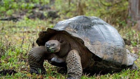Galapagos Experience - 3