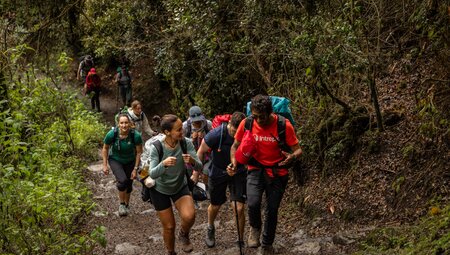 Intrepid travellers talking to leader while hiking hand-placed rock stairs amidst rainforest on the Inca Trail in Peru