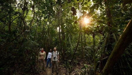 Intrepid travellers and leader walking through the Amazon rainforest