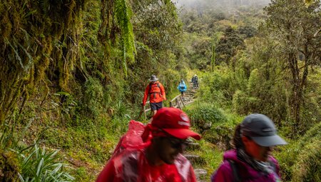 Intrepid travellers and leaders hiking along the Inca Trail in Peru