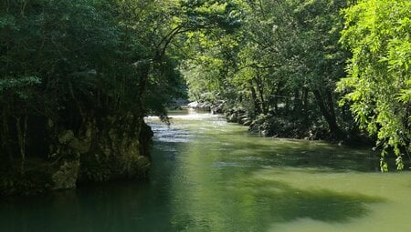 River surrounded by green rainforest in Rio Claro, Colombia