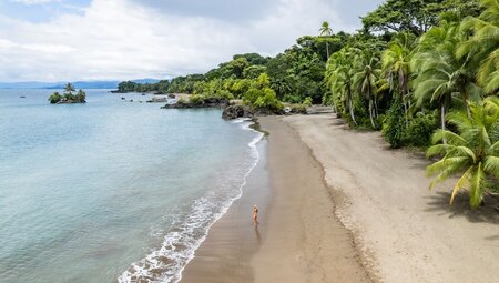 Take in the majesty of rainforest lined beaches in Colombia