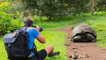 Traveller gets low to the ground while photographing a wild giant tortoise on Isla Santa Cruz