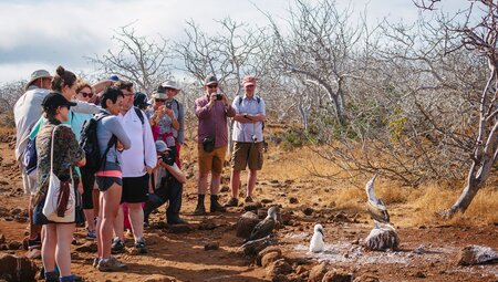 Group views blue-footed boobies, Galapagos Islands