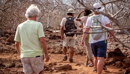 Galapagos Isla Seymour
