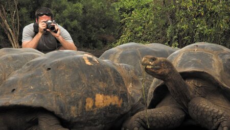 Traveller taking a photo of a giant tortoise in Galapagos, Ecuador