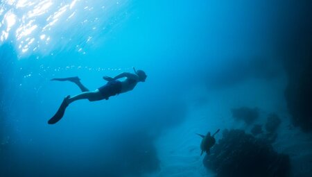 Traveller swimming with snorkelling gear far above a green sea turtle off Isla Isabela Galapagos