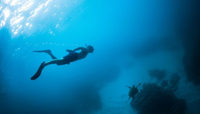 Traveller swimming with snorkelling gear far above a green sea turtle off Isla Isabela Galapagos