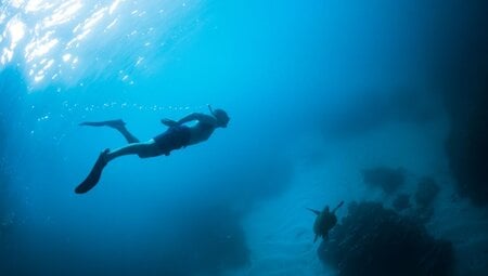 Traveller swimming with snorkelling gear far above a green sea turtle off Isla Isabela Galapagos