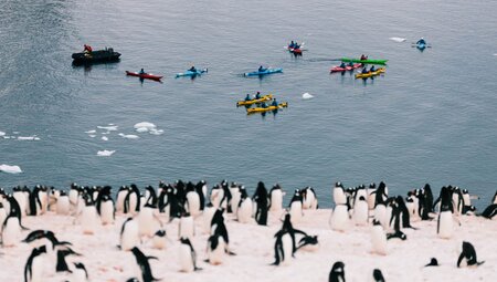 Penguins with kayakers in the background, Antarctica