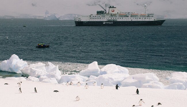 Penguins on shore with Antarctic Ocean Endeavour in the background