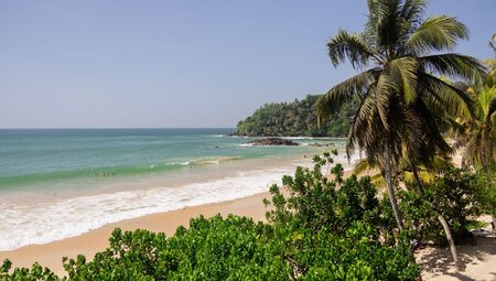 Sand, palm trees and blue sky at the Beach in Mirissa, Sri Lanka