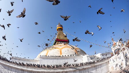 Flying birds in Bodhnath Temple, Kathmandu, Nepal