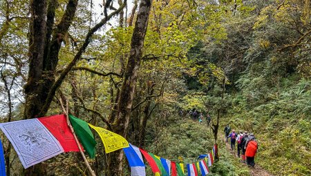 Hike the pictureseque mountainous Trans Bhutan Trail