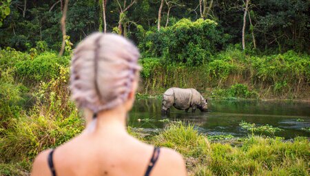 nepal chitwan np traveller looking at rhino