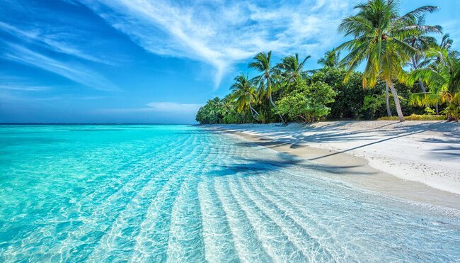 Crystal clear waters of a beach in the Maldives