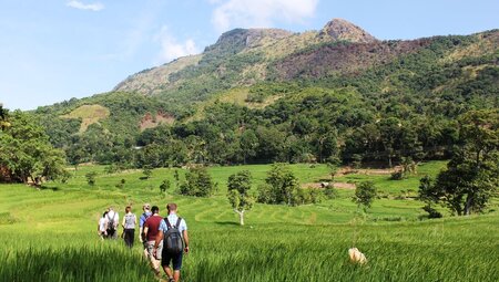 Sri Lanka: Hike, Bike & Kayak - 2
