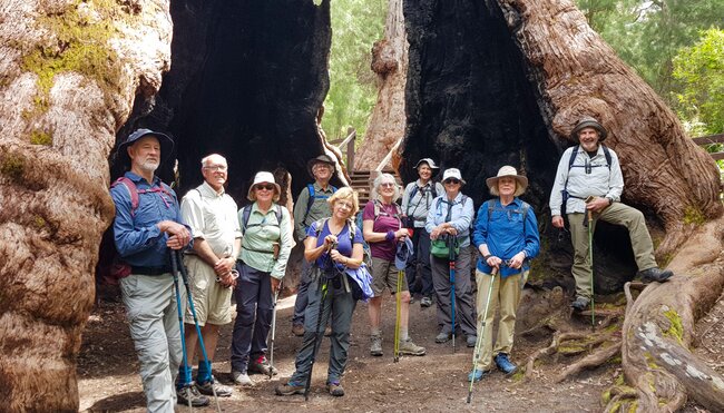 Travellers at the start of the Bibbulmun Track pose in the hollow of a massive tree in Western Australia