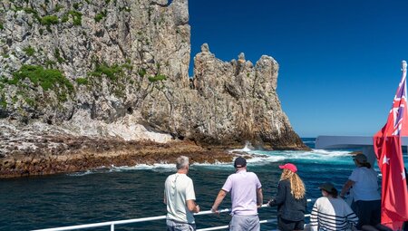 Travellers on a boat looking out at Poor Knights Islands on a clear blue sky day, New Zealand