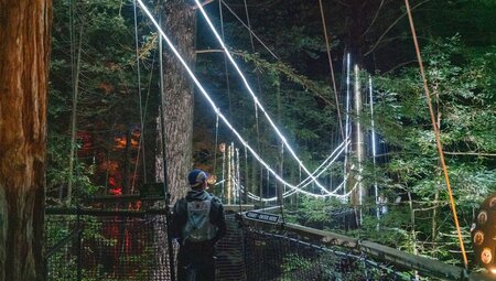 View of traveller walking on an illuminated suspended bridge at night on the Redwood Forest Canopy Walk, Rotorua, New Zealand