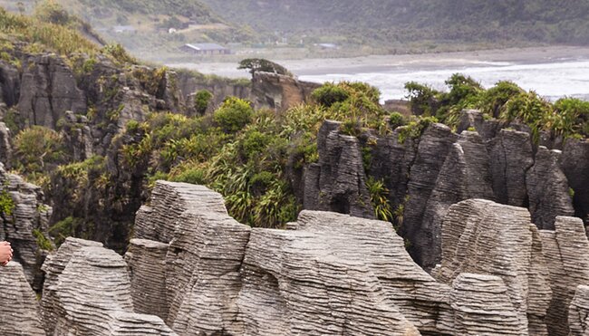 Couple admiring Punakaiki Pancake Rocks from viewpoint, South Island, New Zealand