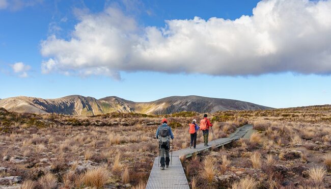 Group of travellers hiking along the track in the Tongariro Alpine Crossing, with mountainscape in view