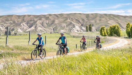 Cycling in beautiful fields on the Otago Central Rail Trail, New Zealand