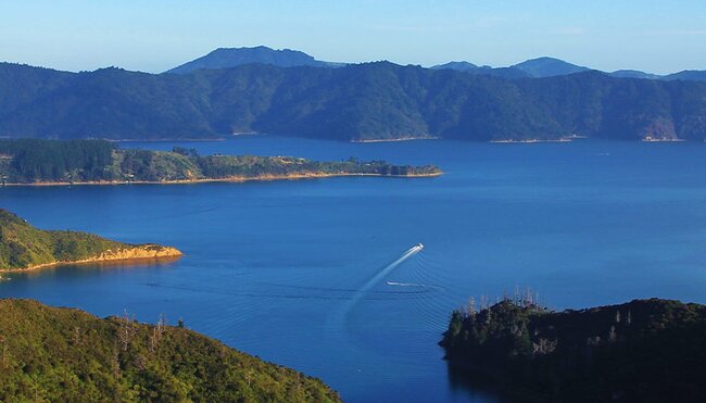 Aerial view Marlborough Sounds, South Island, NZ