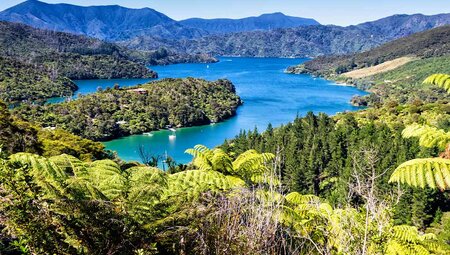 View of bays off the Queen Charlotte Track, South Island, New Zealand