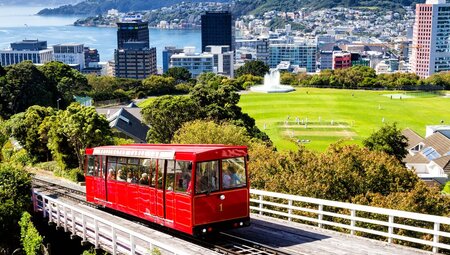 Red tram on tracks in Wellington, with cityscape and a cricket field in the background, New Zealand
