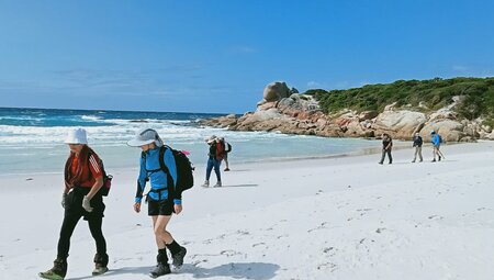 Group of travellers hiking the Bay of Fires, Tasmania, Australia