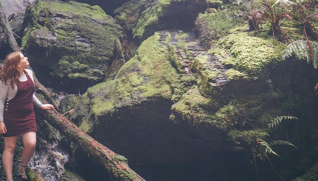 Traveller among the trees in the Tarkine Rainforest, Tasmania, Australia