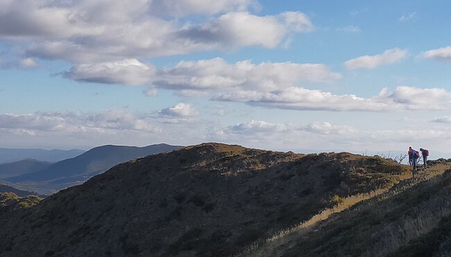 Group of hikers hiking across mountains in the Victoria High Country, Australia