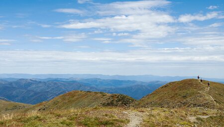 Track along ridge of Mt Feathertop, Victoria, Australia, in summer