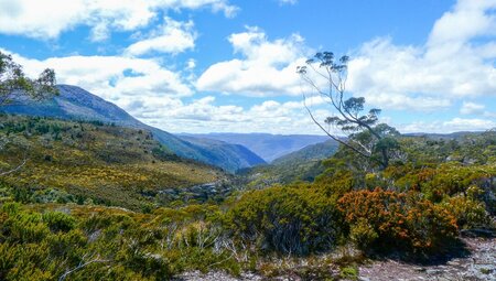 Gentle mist settled over the Cradle Mountain Track valley views in western Tasmania