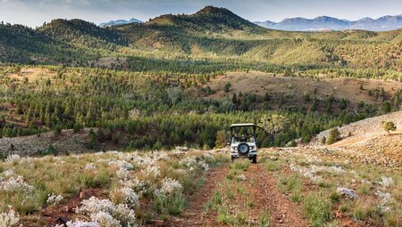 Travellers riding in a jeep through the conservancy and vast view of landscape of green trees on hills behind them, South Australia