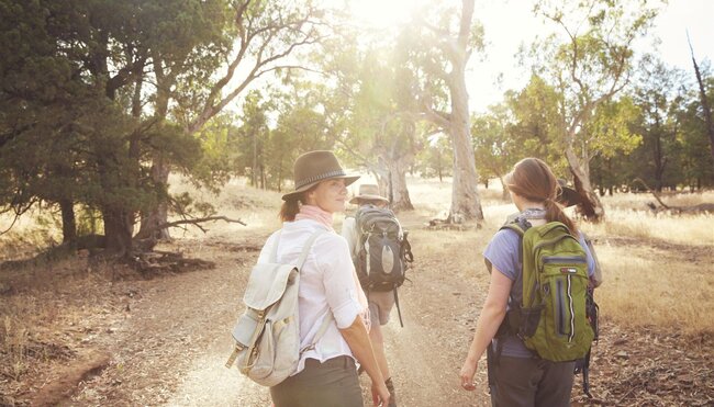 On the Arkaba Walk in South Australia's Bush