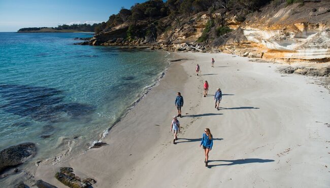 Aerial view of group of travellers walking along the beach, looking out at the  water on a clear blue sky day on Maria Island, Australia