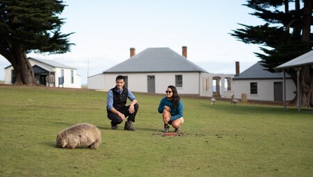 Smiling traveller and guide looking at wombat on the grass, with houses behind them on Maria Island, Australia